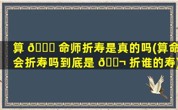 算 🐒 命师折寿是真的吗(算命会折寿吗到底是 🐬 折谁的寿)